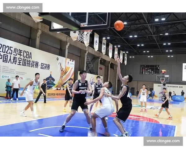 全面解析篮球赛事直播平台优劣对比及观看体验优化建议